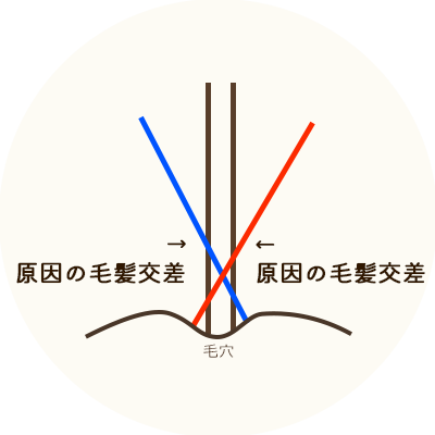 ヘアリセッター