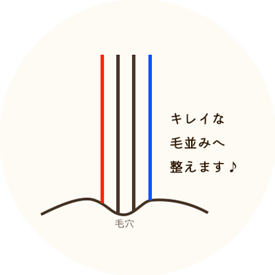 ヘアリセッター